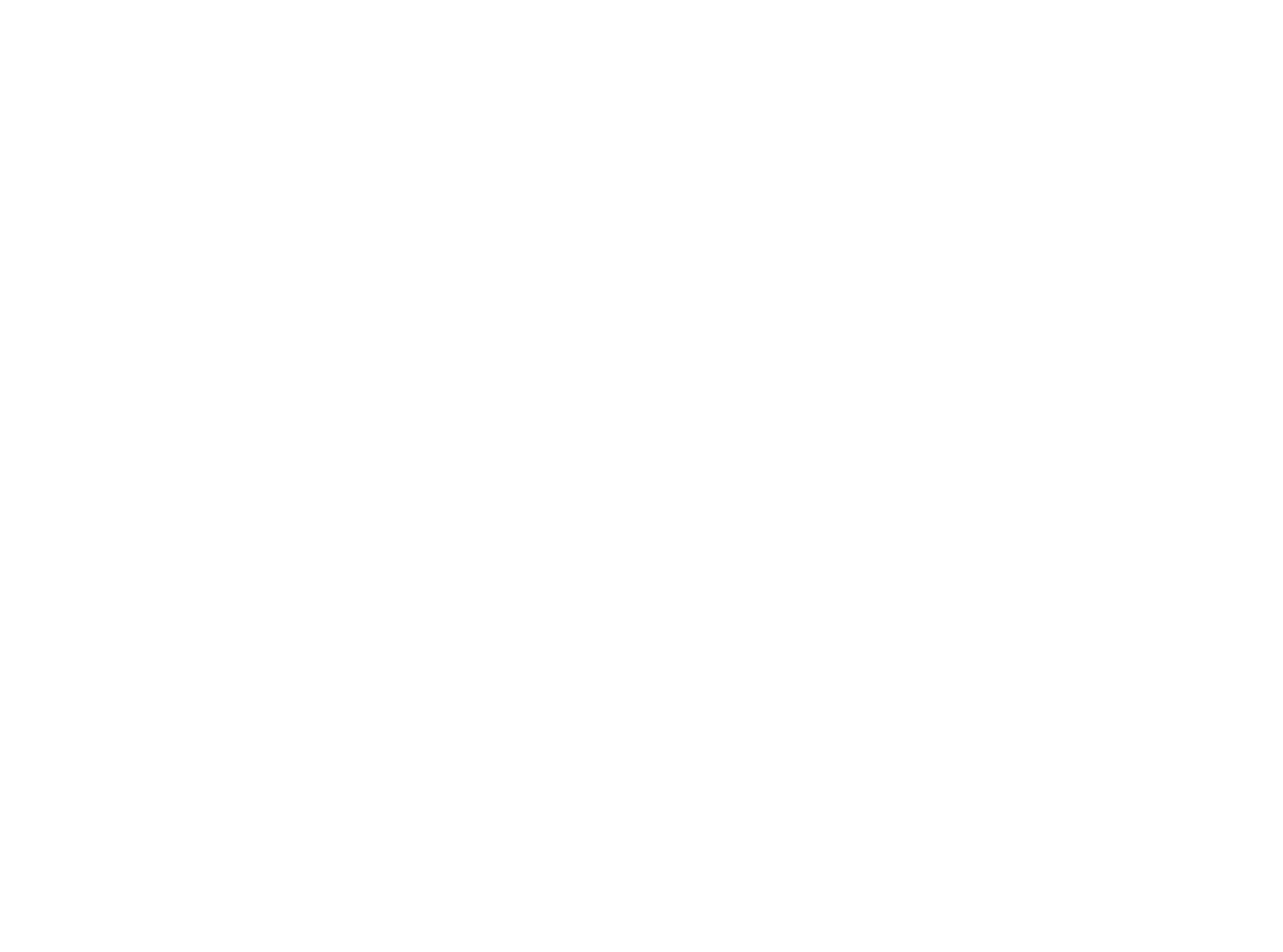 logo light