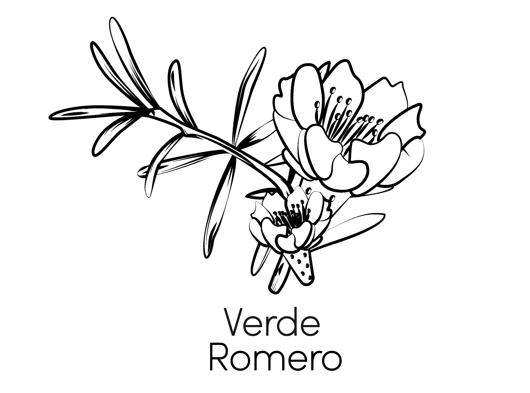 logo main